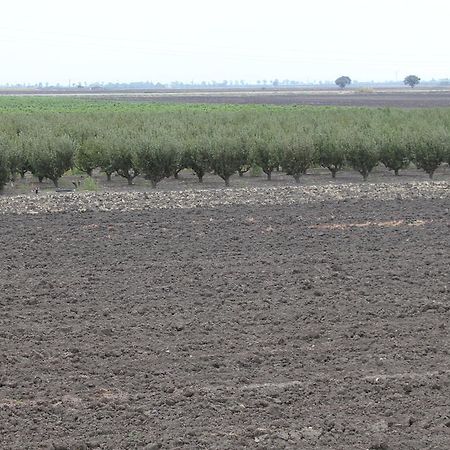 Willa Agriturismo Silos Agri San Severo Pokój zdjęcie