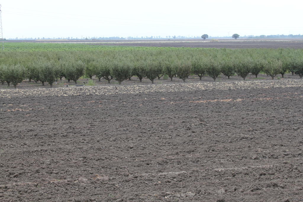 Willa Agriturismo Silos Agri San Severo Pokój zdjęcie