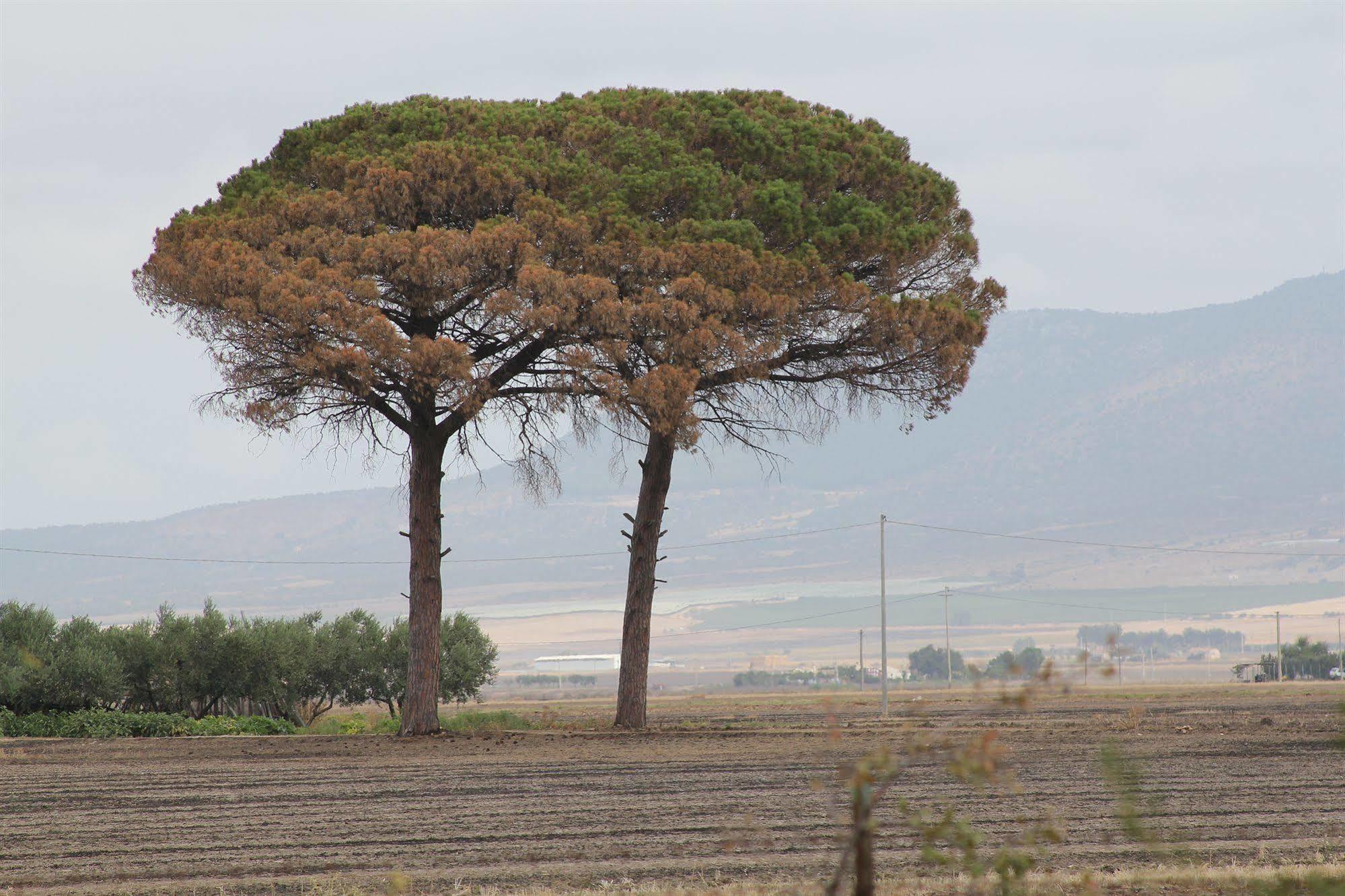 Willa Agriturismo Silos Agri San Severo Zewnętrze zdjęcie