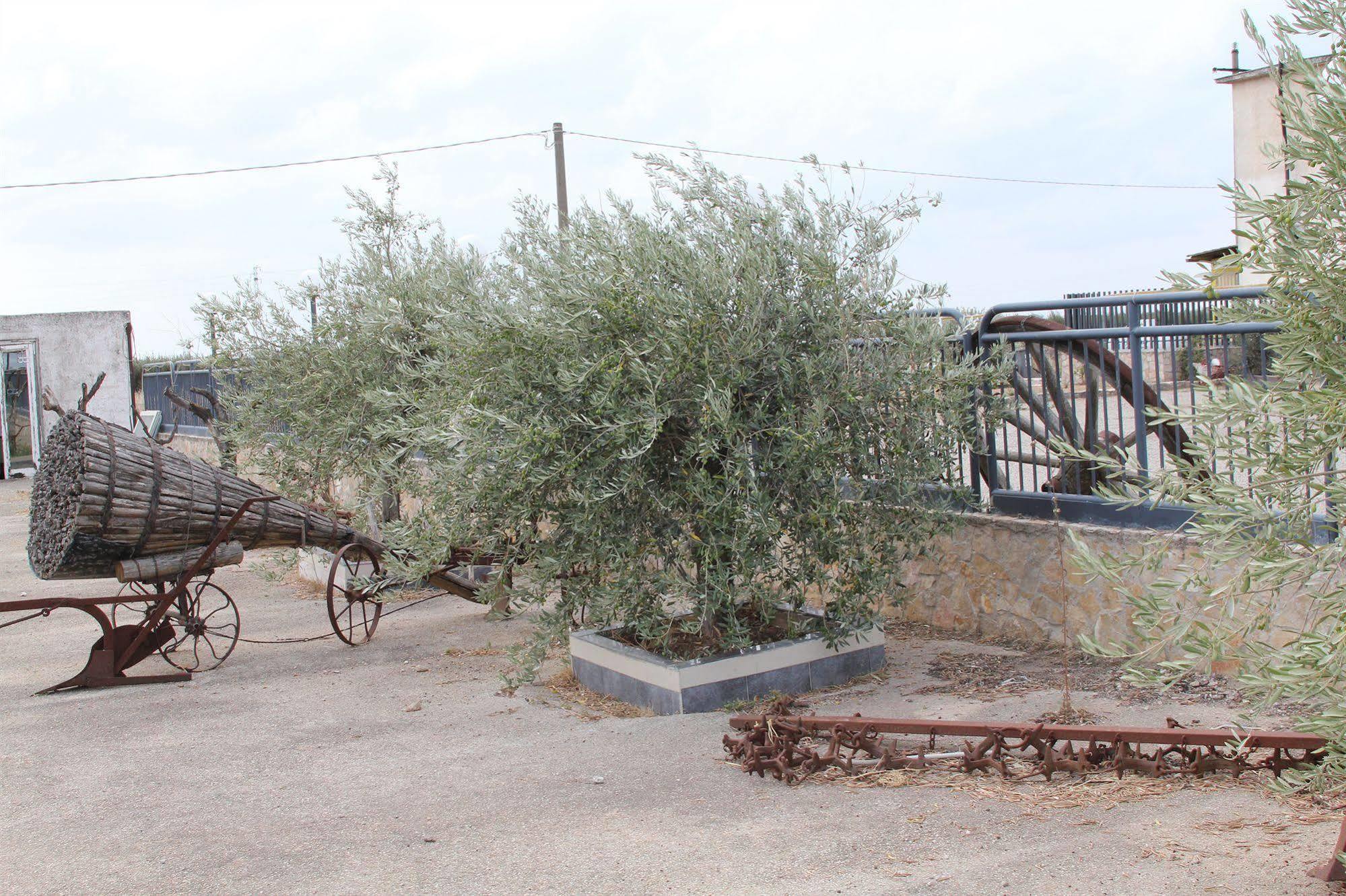 Willa Agriturismo Silos Agri San Severo Zewnętrze zdjęcie